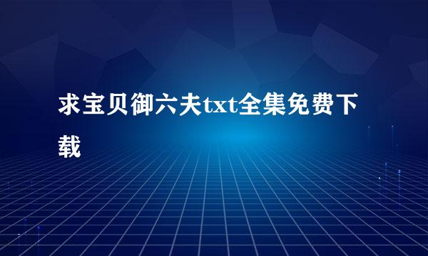 求宝贝御六夫txt全集免费下载