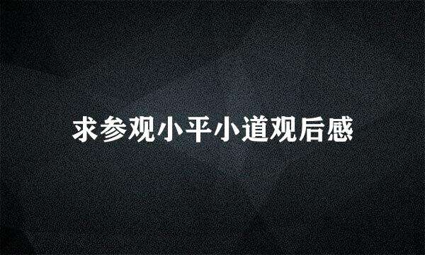 求参观小平小道观后感