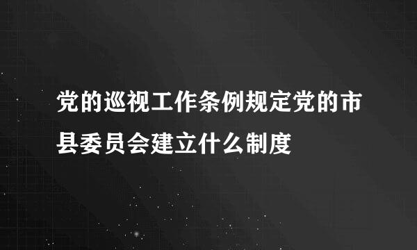 党的巡视工作条例规定党的市县委员会建立什么制度