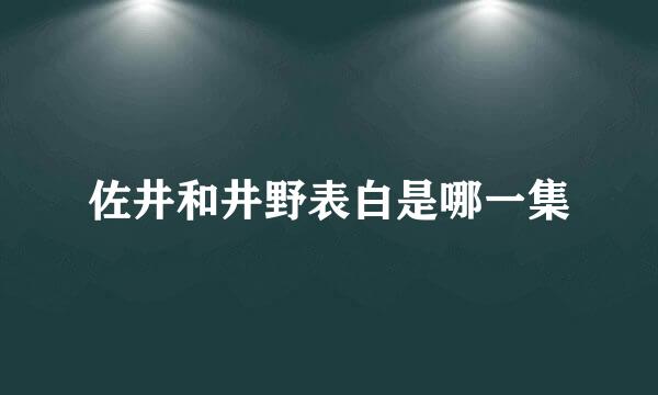 佐井和井野表白是哪一集