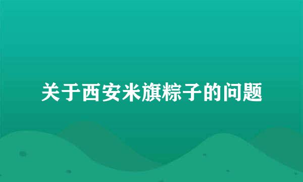 关于西安米旗粽子的问题