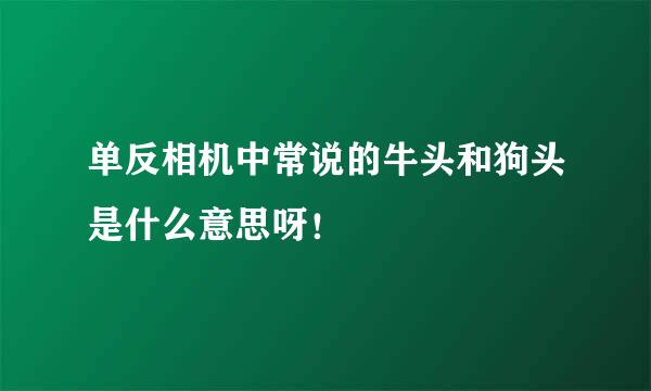 单反相机中常说的牛头和狗头是什么意思呀！