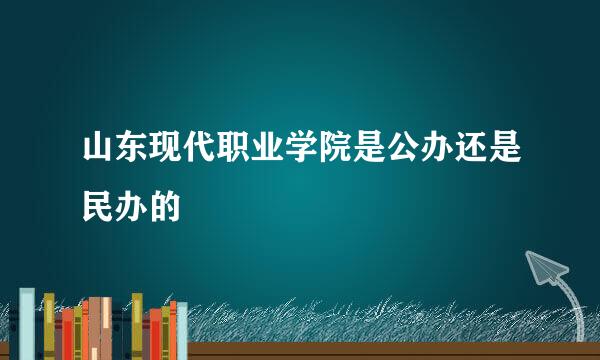 山东现代职业学院是公办还是民办的