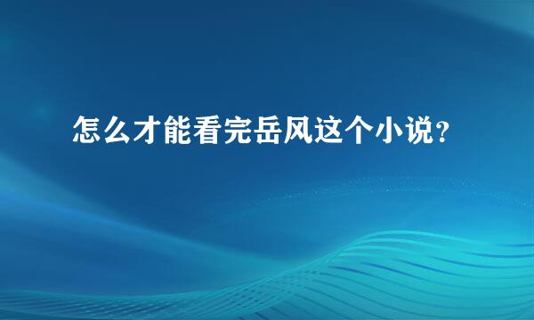 怎么才能看完岳风这个小说？