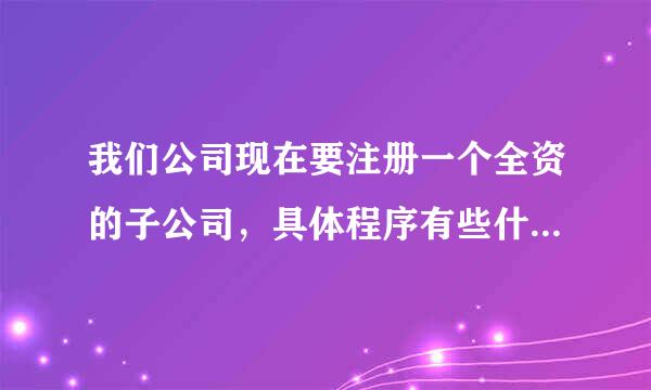 我们公司现在要注册一个全资的子公司，具体程序有些什么啊？求高手指点？