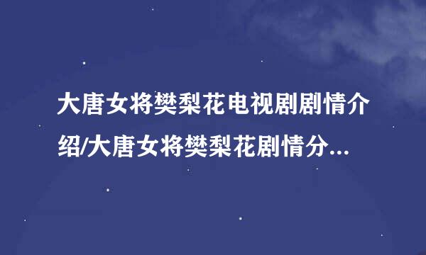 大唐女将樊梨花电视剧剧情介绍/大唐女将樊梨花剧情分集介绍/大唐女将樊梨花结局剧情