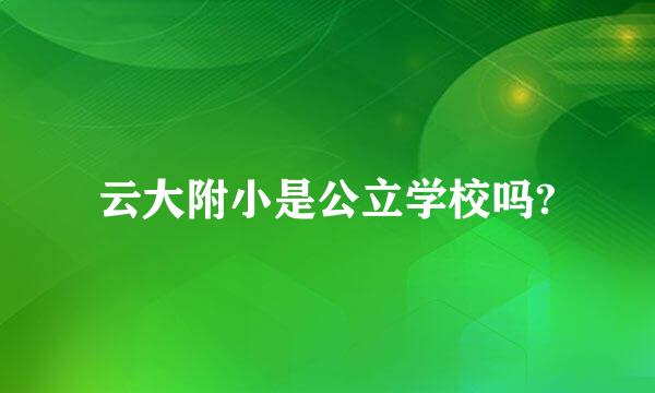 云大附小是公立学校吗?