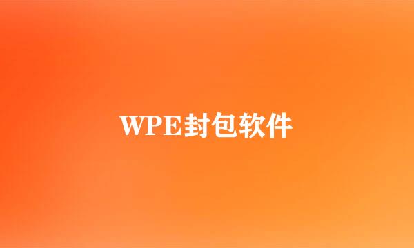 WPE封包软件