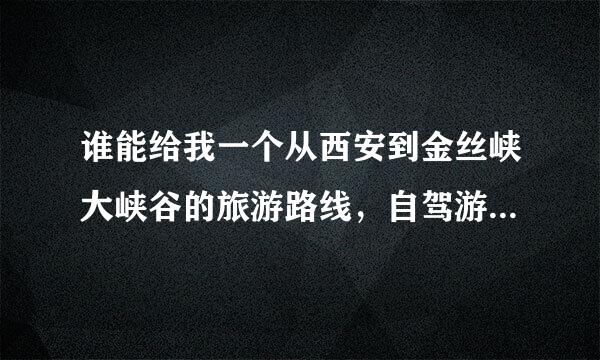 谁能给我一个从西安到金丝峡大峡谷的旅游路线，自驾游的，说具体点！