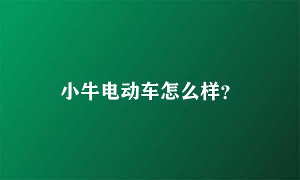 小牛电动车怎么样？