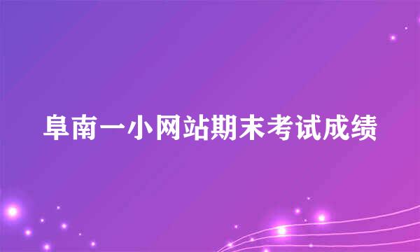 阜南一小网站期末考试成绩