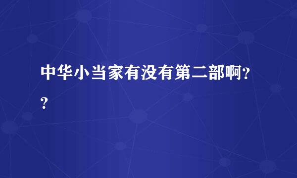 中华小当家有没有第二部啊？？