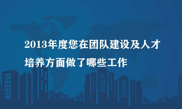 2013年度您在团队建设及人才培养方面做了哪些工作