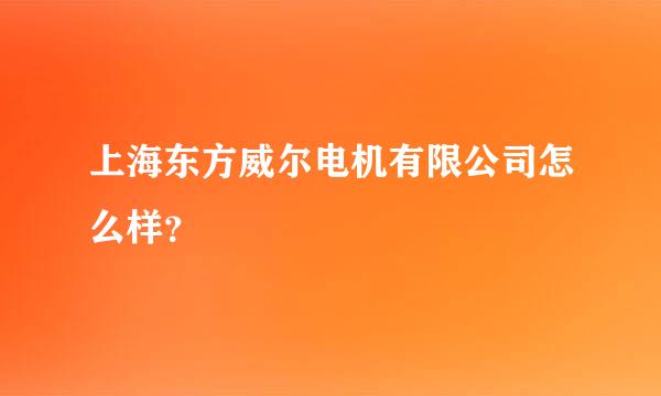 上海东方威尔电机有限公司怎么样？