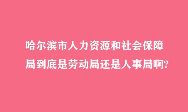 哈尔滨市人力资源和社会保障局到底是劳动局还是人事局啊?