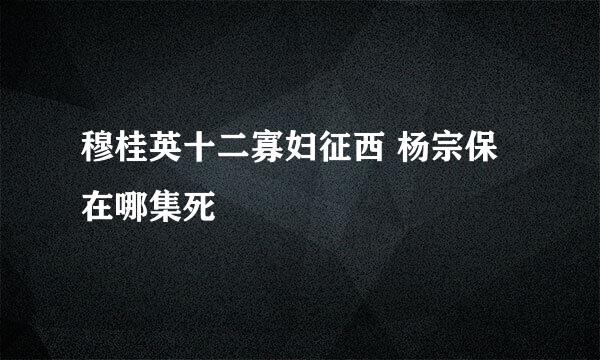 穆桂英十二寡妇征西 杨宗保在哪集死