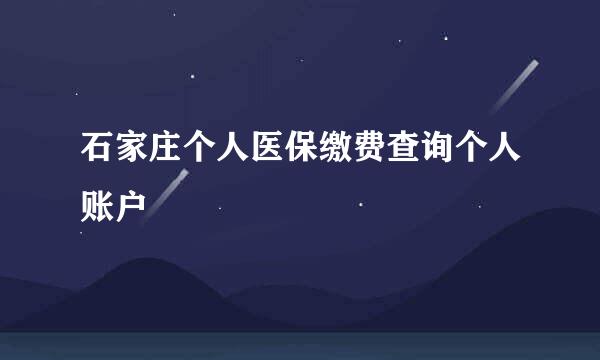 石家庄个人医保缴费查询个人账户