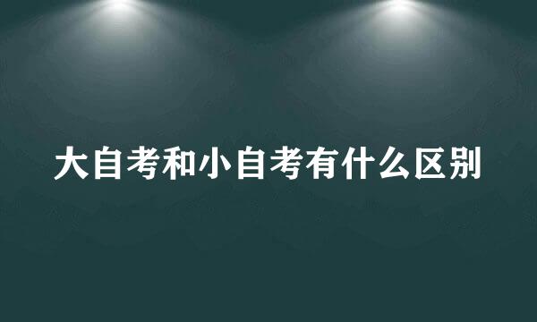 大自考和小自考有什么区别