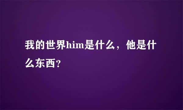 我的世界him是什么，他是什么东西？