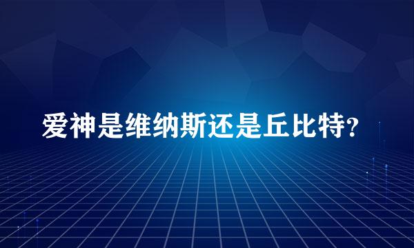 爱神是维纳斯还是丘比特？