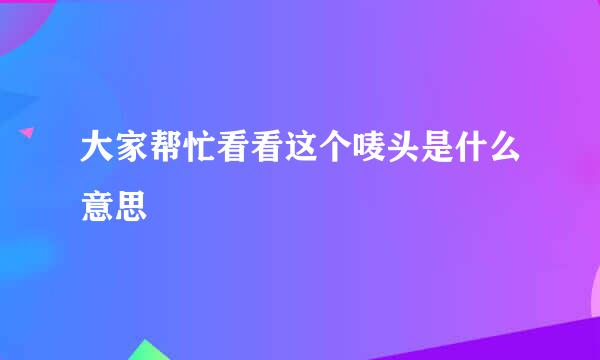 大家帮忙看看这个唛头是什么意思