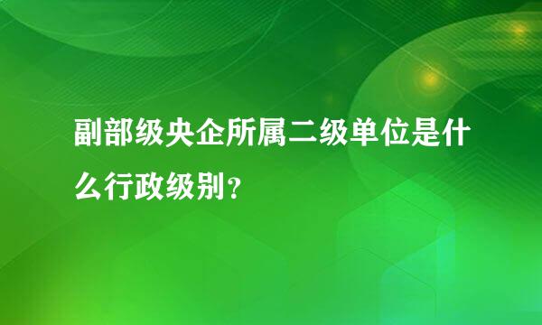 副部级央企所属二级单位是什么行政级别？