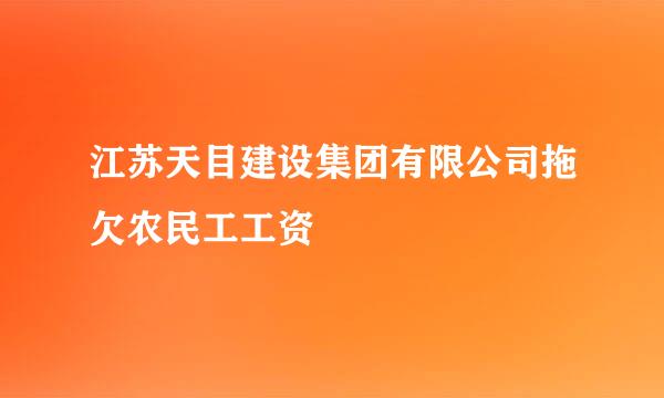 江苏天目建设集团有限公司拖欠农民工工资