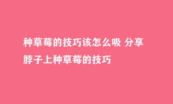 种草莓的技巧该怎么吸 分享脖子上种草莓的技巧