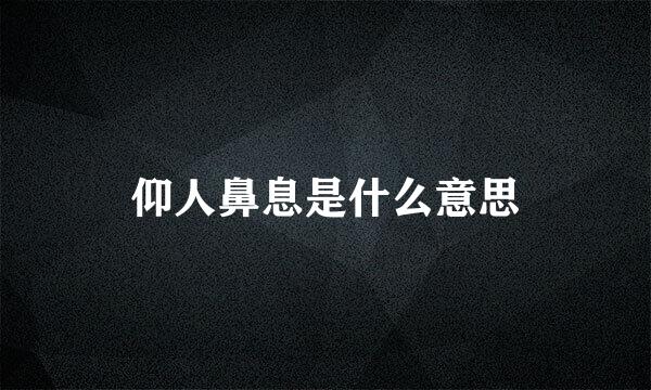 仰人鼻息是什么意思