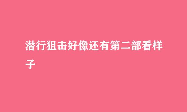 潜行狙击好像还有第二部看样子