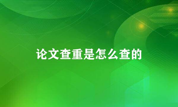 论文查重是怎么查的