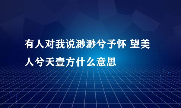 有人对我说渺渺兮予怀 望美人兮天壹方什么意思