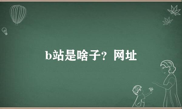 b站是啥子？网址