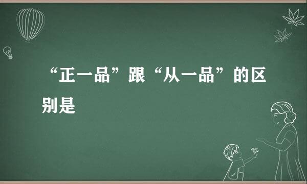 “正一品”跟“从一品”的区别是﹖