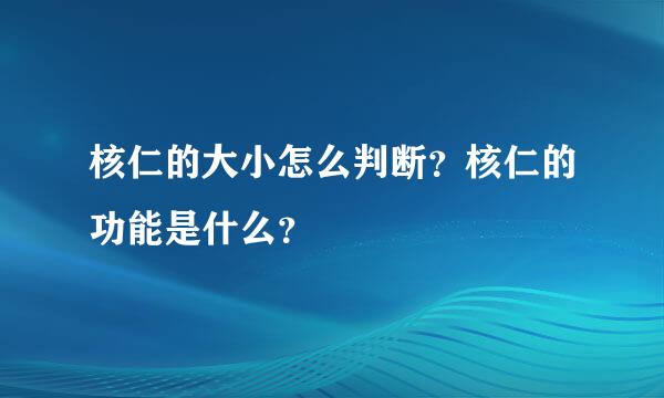 核仁的大小怎么判断？核仁的功能是什么？