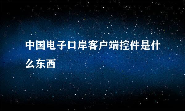 中国电子口岸客户端控件是什么东西