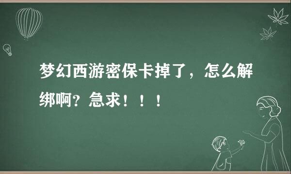 梦幻西游密保卡掉了，怎么解绑啊？急求！！！