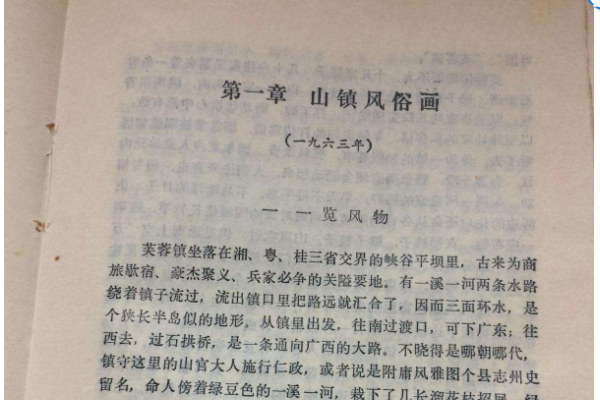 古华《芙蓉镇》究竟是反思文学还是伤痕文学？