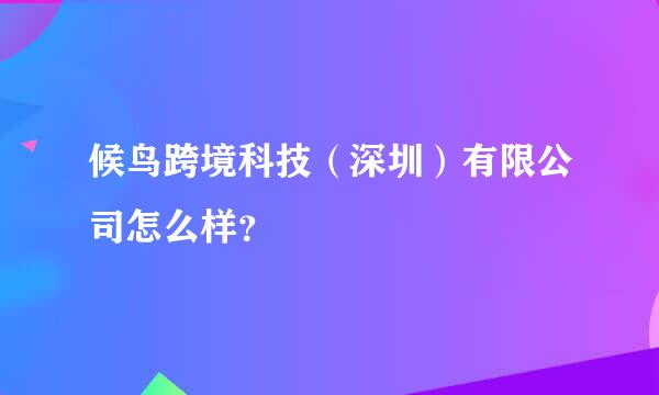 候鸟跨境科技（深圳）有限公司怎么样？