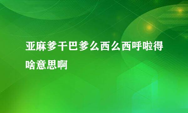 亚麻爹干巴爹么西么西呼啦得啥意思啊