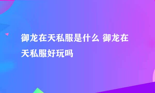 御龙在天私服是什么 御龙在天私服好玩吗