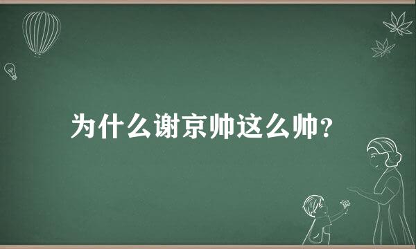 为什么谢京帅这么帅？