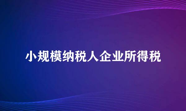 小规模纳税人企业所得税