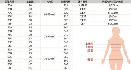 内衣abcd罩杯怎么区分大小