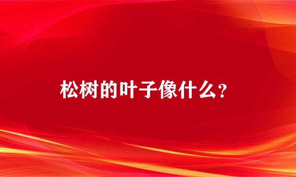 松树的叶子像什么？