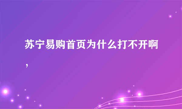 苏宁易购首页为什么打不开啊，