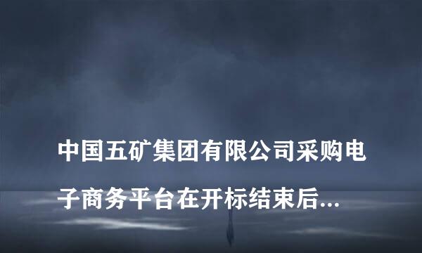 
中国五矿集团有限公司采购电子商务平台在开标结束后怎么查询开标结果
