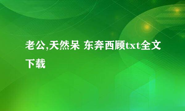 老公,天然呆 东奔西顾txt全文下载