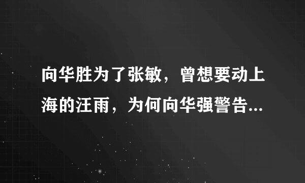 向华胜为了张敏，曾想要动上海的汪雨，为何向华强警告他千万别碰呢？