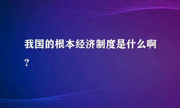 我国的根本经济制度是什么啊？